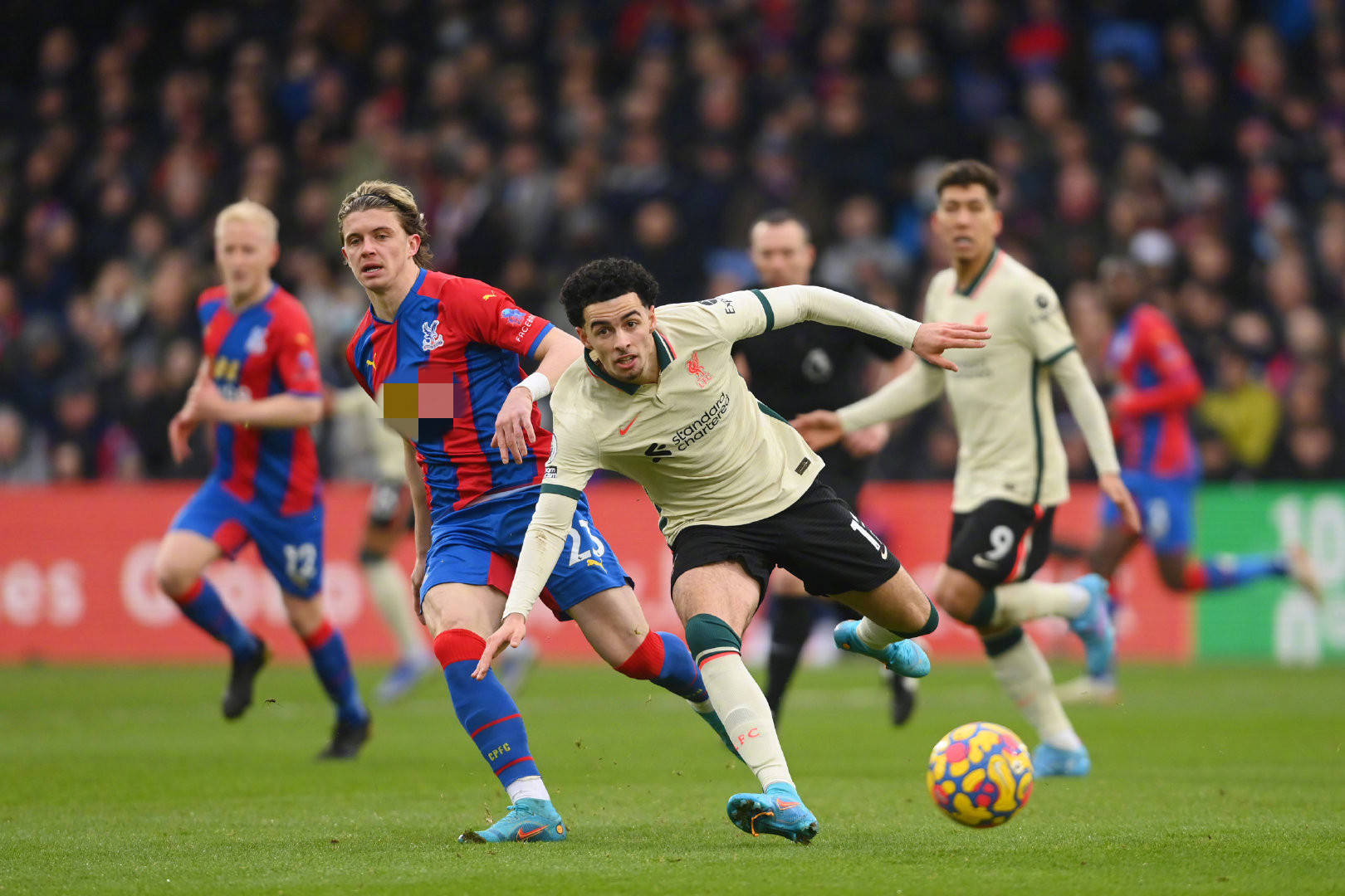 这一举措将 这一举措将